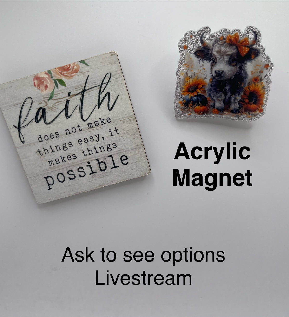 Acrylic Magnets