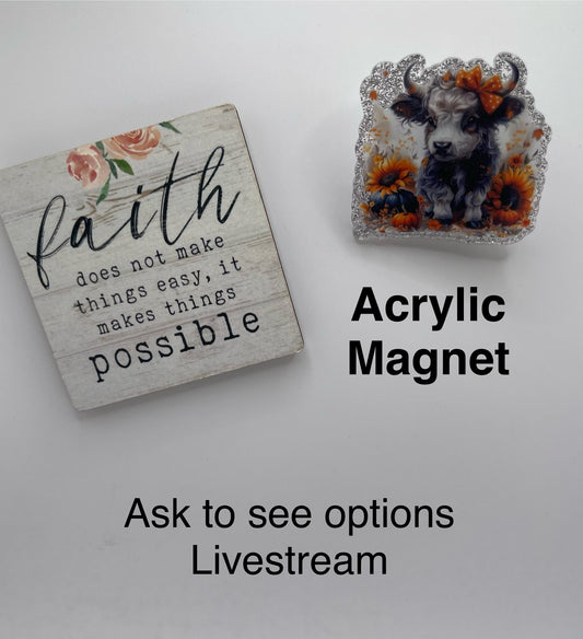 Acrylic Magnets